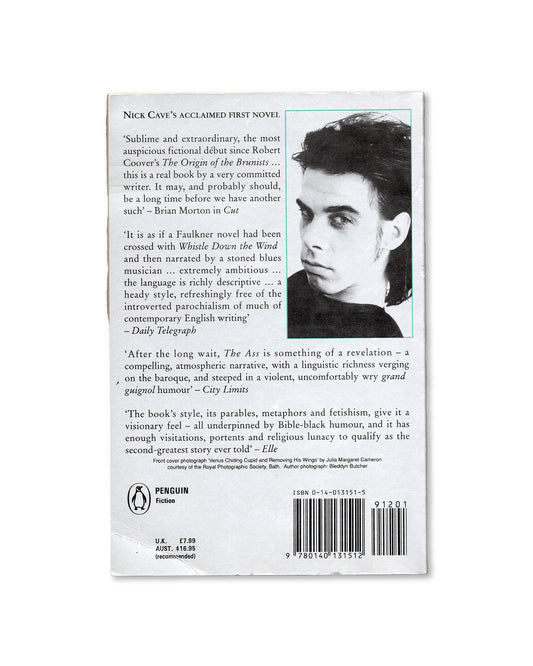 And the Ass Saw the Angel by Nick Cave