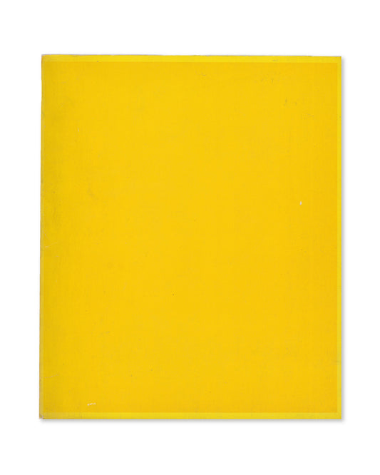 Willem de Kooning by Thomas B. Hess