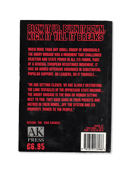 Anarchy in the UK by Tom Vague