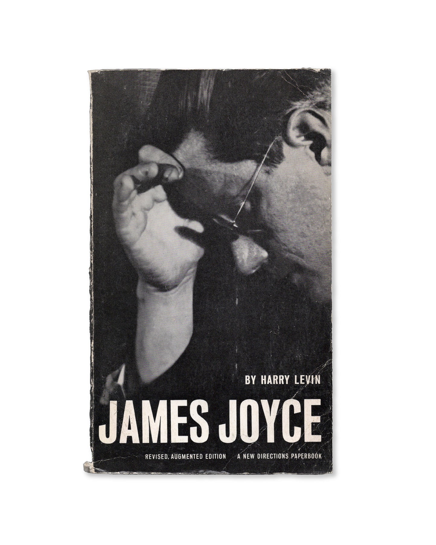James Joyce by Harry Levin