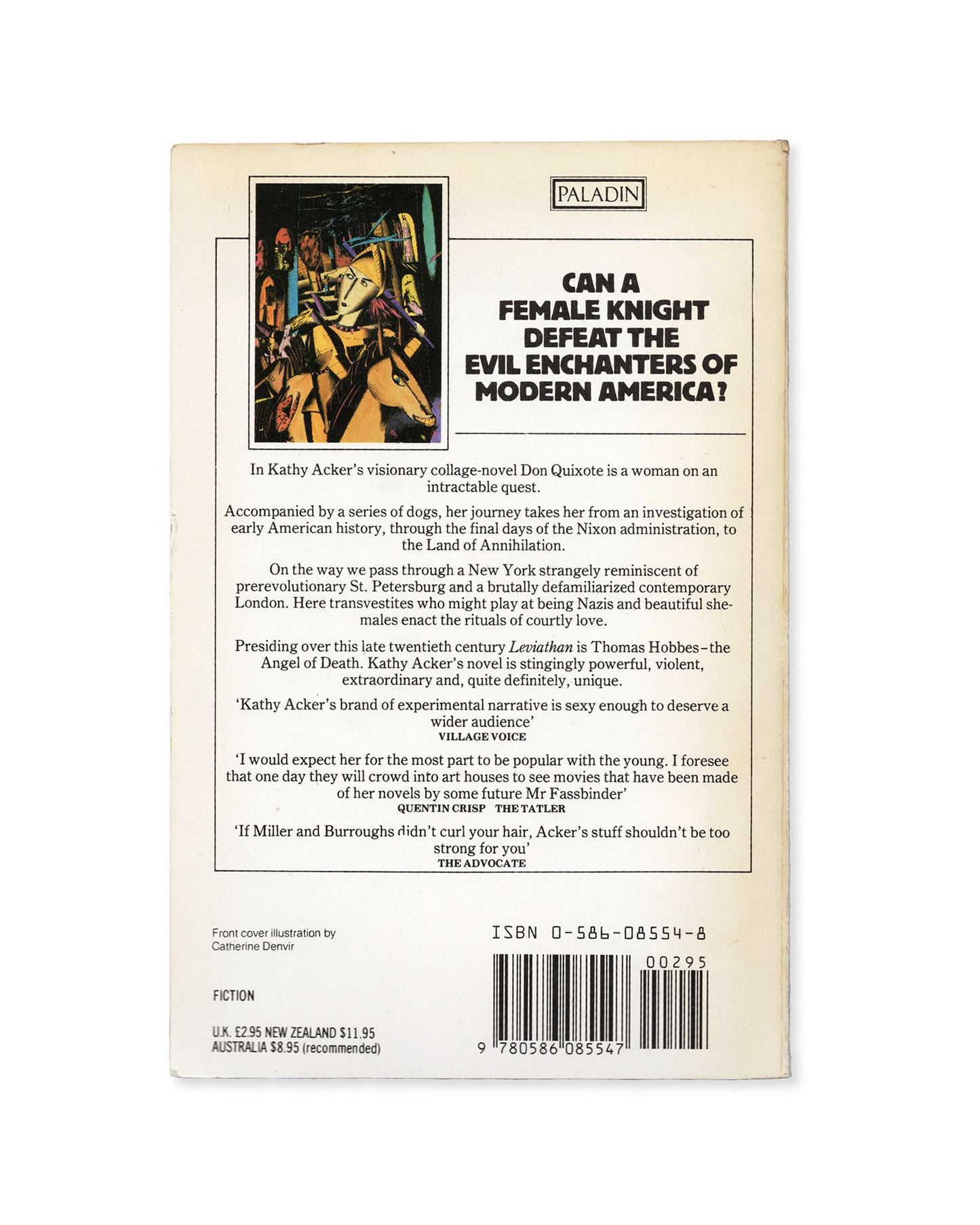 Don Quixote by Kathy Acker