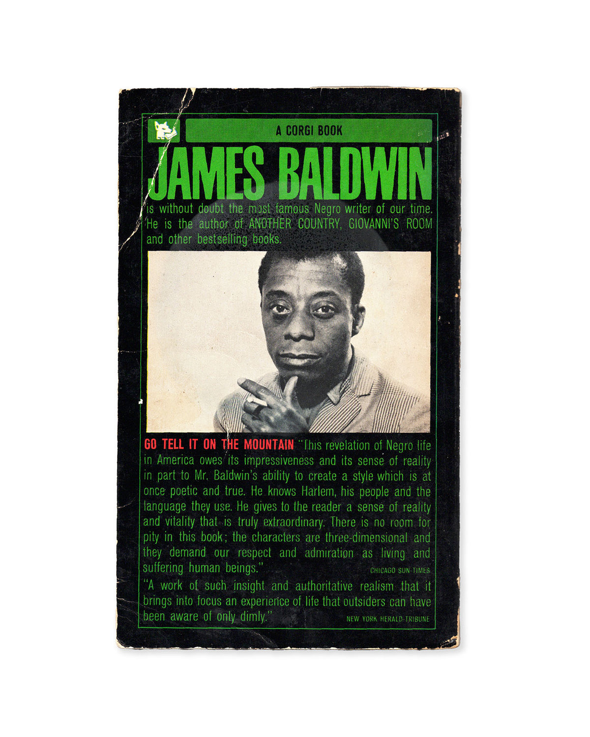 Go Tell It On The Mountain by James Baldwin