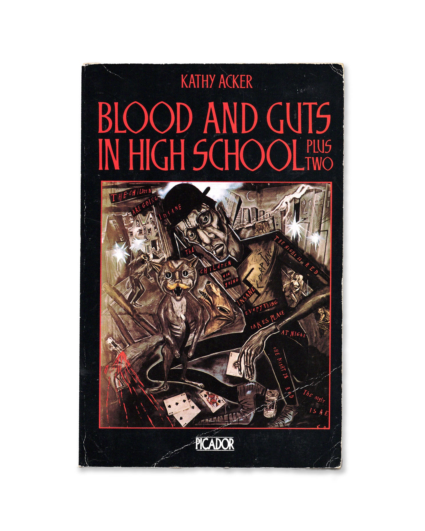 Front book cover of Blood and Guts in High School by Kathy Acker