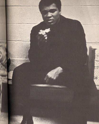 Rolling Thunder Logbook: Starring Bob Dylan by Sam Shepard