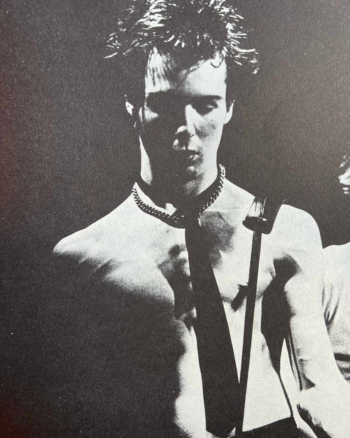 The Sid Vicious Family Album by Anne Beverley