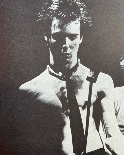 The Sid Vicious Family Album by Anne Beverley