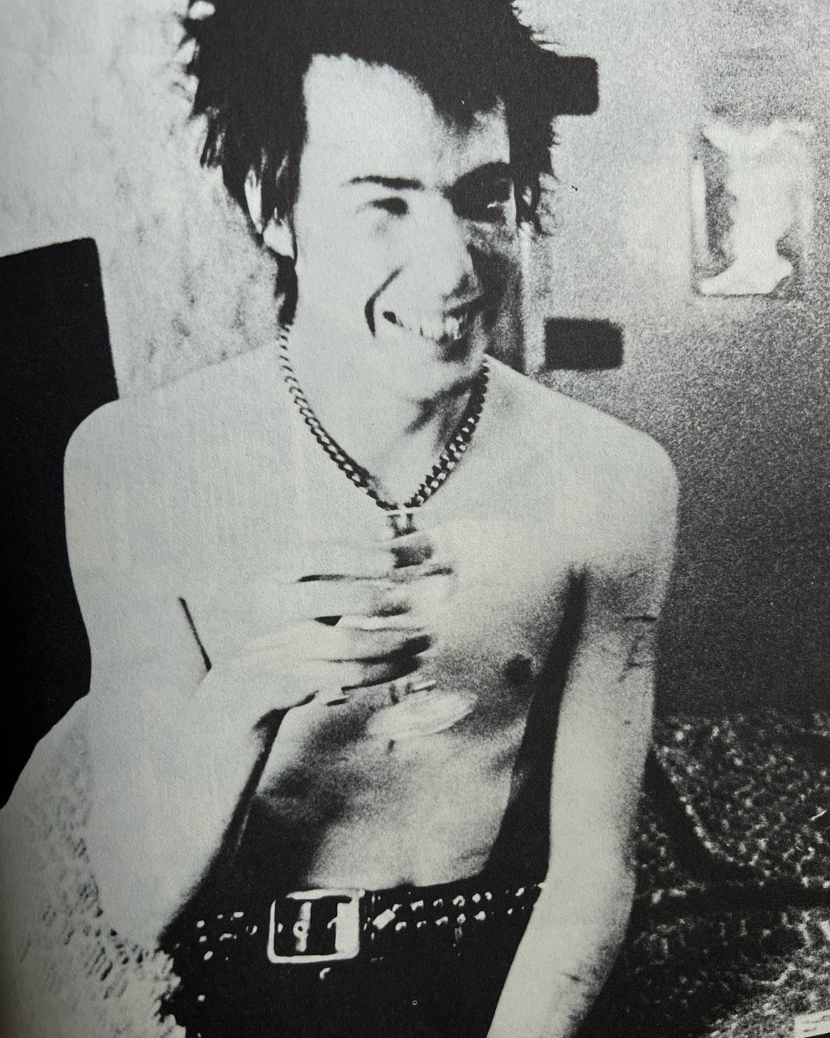 The Sid Vicious Family Album by Anne Beverley